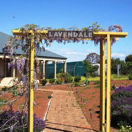 Lavendale Country Retreat Villa York Dış mekan fotoğraf